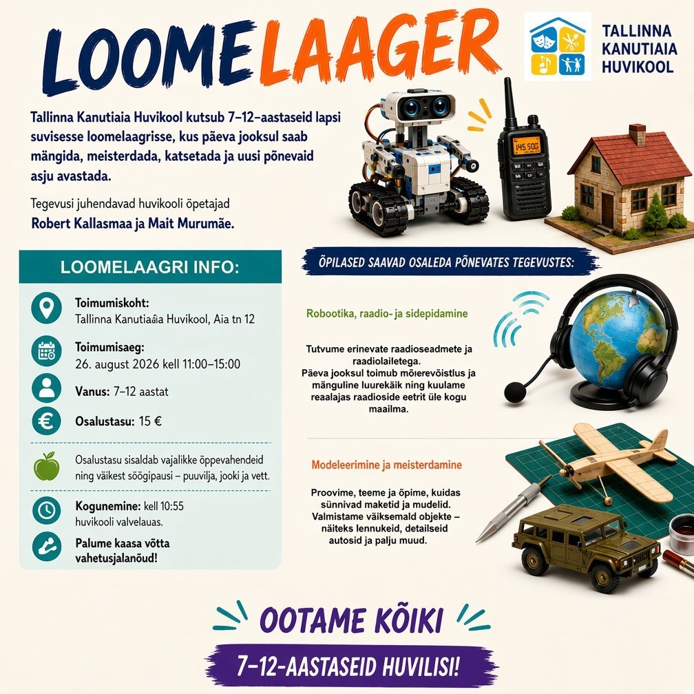 Loomelaagri poster